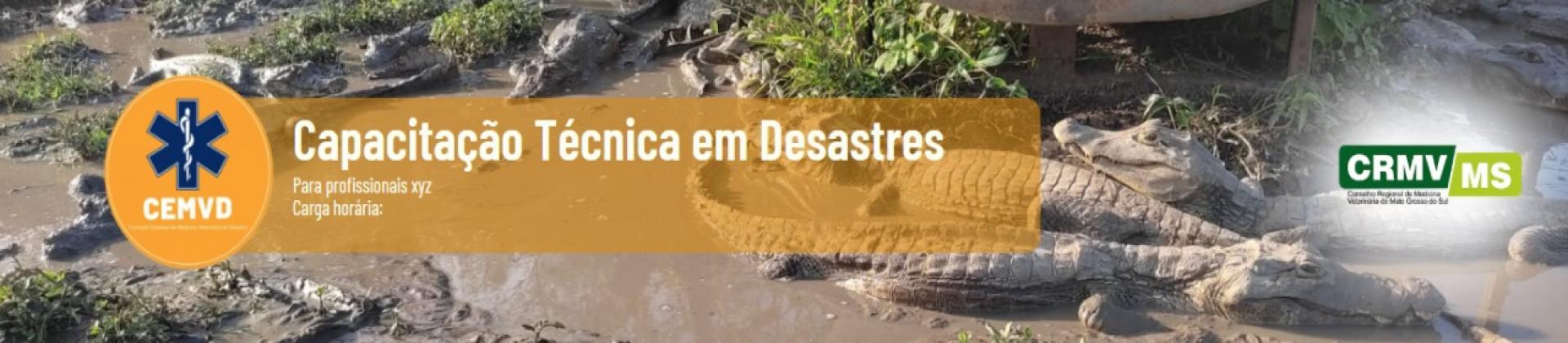 Capacitação Técnica em Desastres